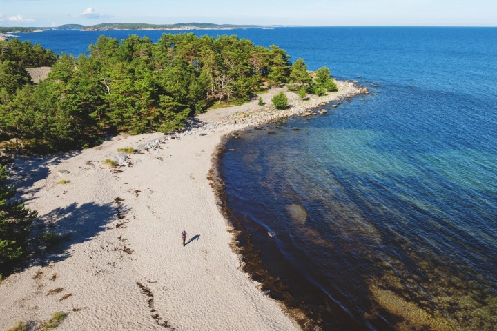 Aerial view of a sandy beach with a person walking, adjacent to a forest and blue sea.