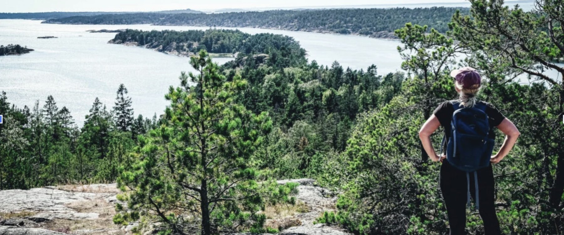 Person with backpack overlooks a scenic forest and lake view.